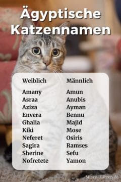 Ägyptische Katzennamen: Namensliste mit weiblichen und männlichen Namen