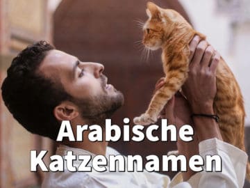 Arabische Katzennamen: Weiblich und männlich mit Bedeutung