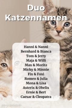 Duo Katzennamen: Namensliste mit weiblichen und männlichen Namen