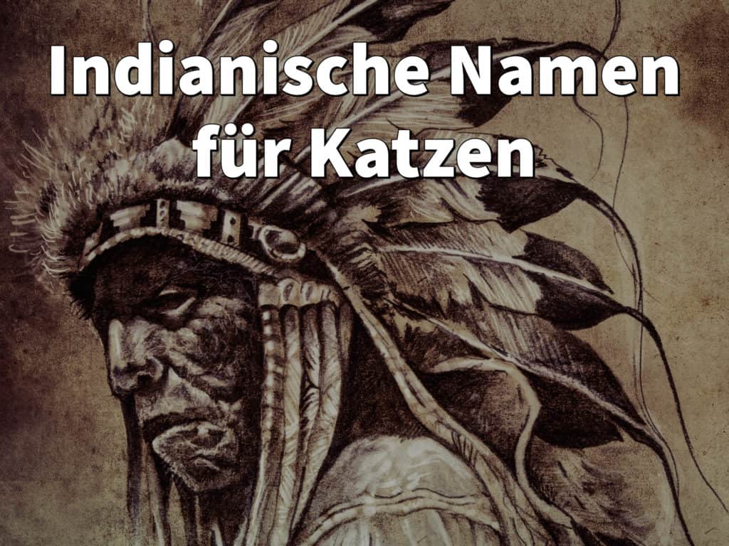 Indianische Namen für Katzen: Weiblich und männlich mit Bedeutung