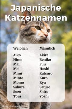 Japanische Katzennamen: Namensliste mit weiblichen und männlichen Namen
