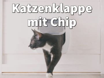 Katzenklappe mit Chip: Sensor öffnet Türe, Test beste Klappen
