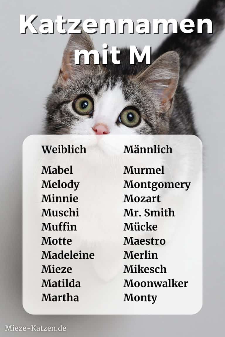Katzenname Weiblich Mit M