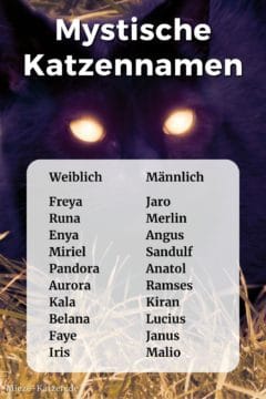 Mystische Katzennamen: Namensliste mit weiblichen und männlichen Namen
