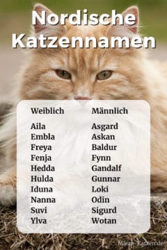 Nordische Katzennamen: Namensliste mit weiblichen und männlichen Namen