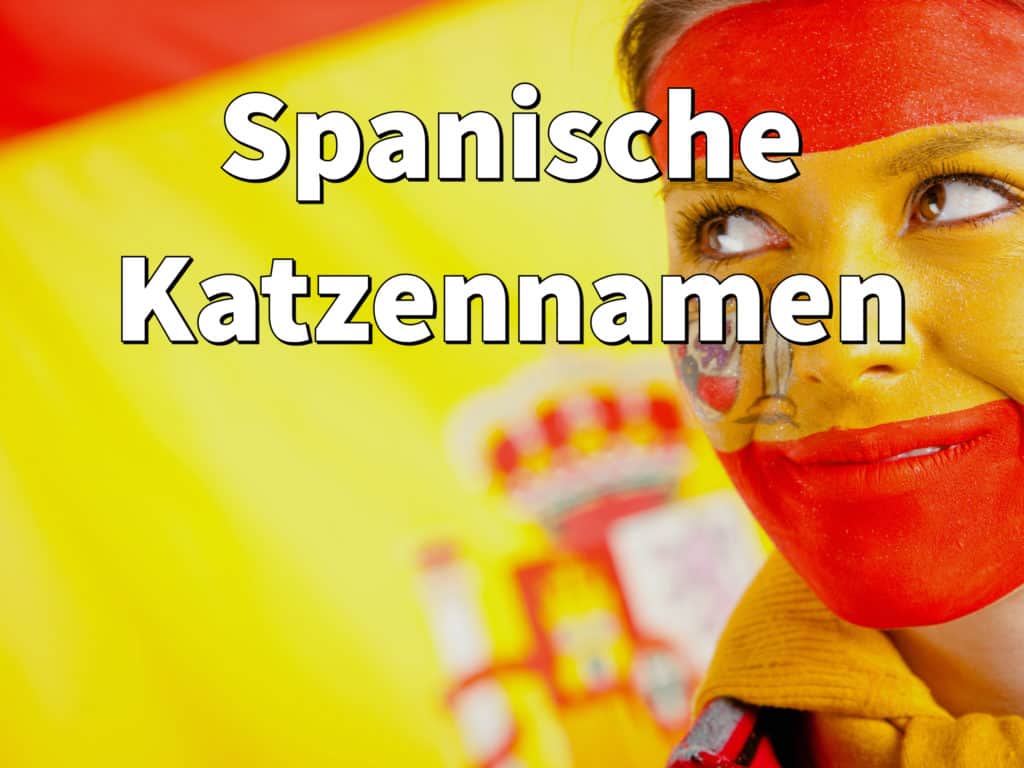 Spanische Katzennamen: Weiblich und männlich mit Bedeutung