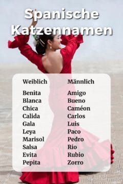 Spanische Katzennamen: Namensliste mit weiblichen und männlichen Namen