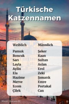 Türkische Katzennamen: Namensliste mit weiblichen und männlichen Namen